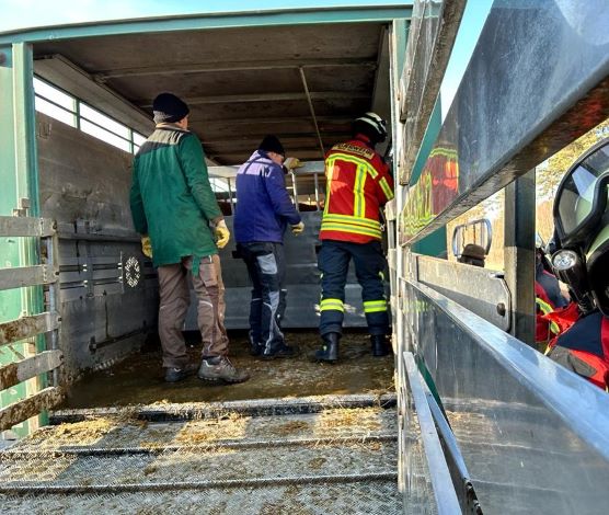 IMG-20221213-WA0017 (2) groß.jpg